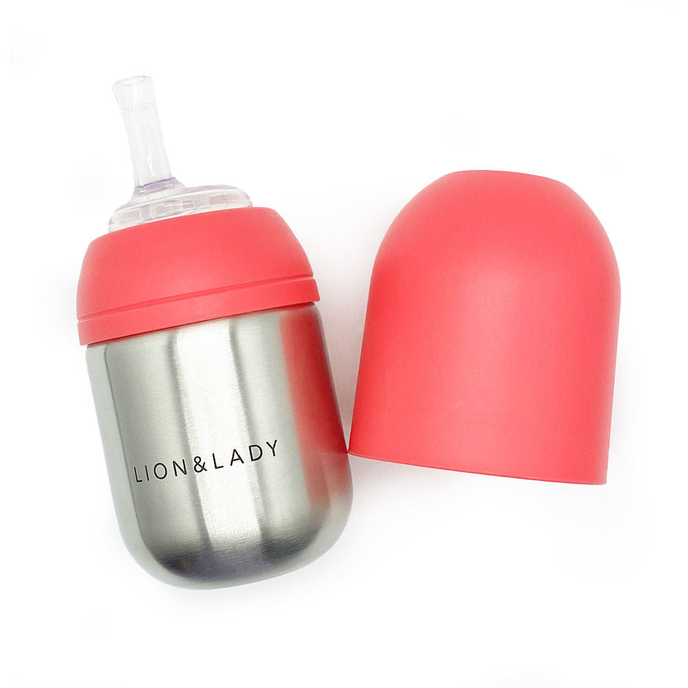 Straw Stainless Steel Baby Bottle