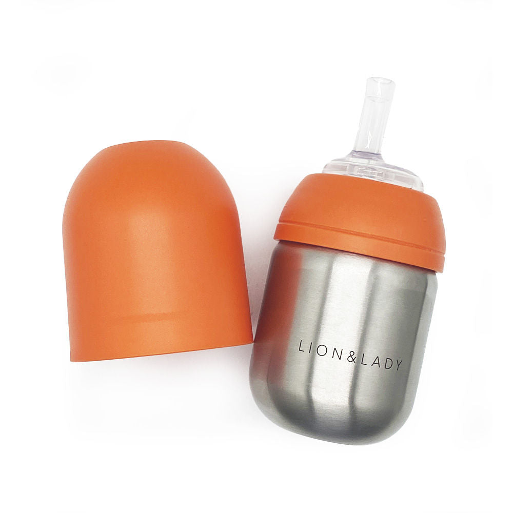Straw Stainless Steel Baby Bottle
