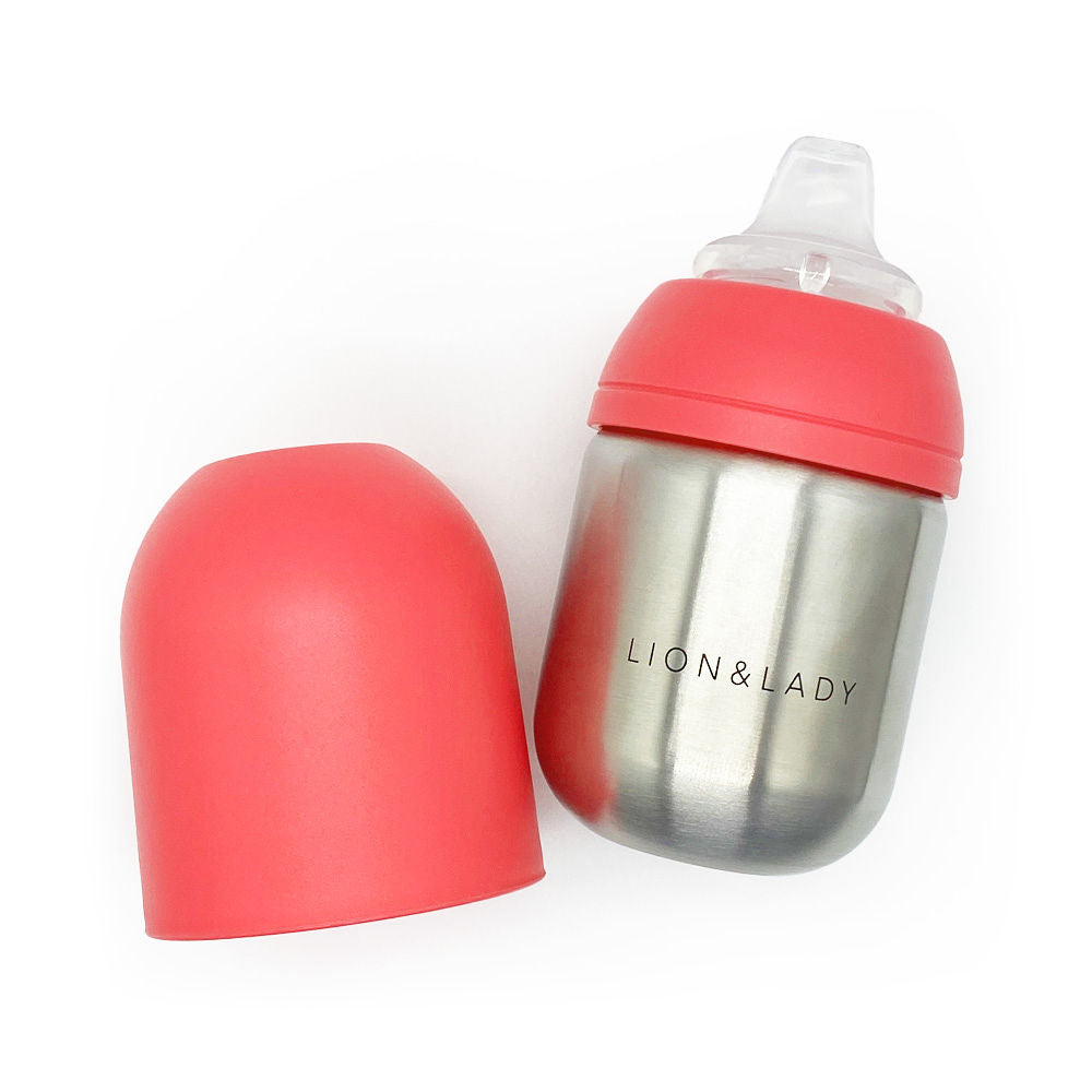 Sippy Stainless Steel Baby Bottle